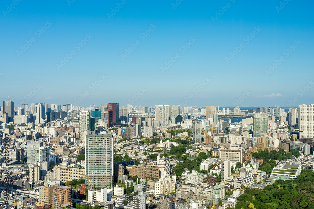 Fototapeta premium 高層ビルから眺める東京の風景
