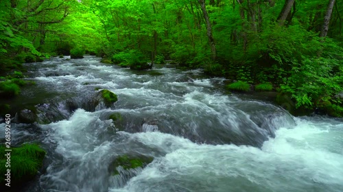 Mountain Stream / Oirase Stream