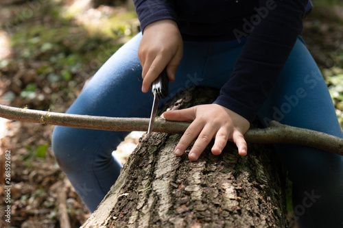 Hands of little girl or boy using a Swiss knife, sawing a piece of wood in the forest, nobody photo