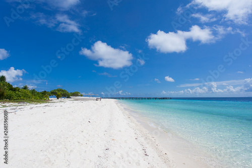 Beautiful trees on white sandy beach and blue sky in Semporna, Sabah