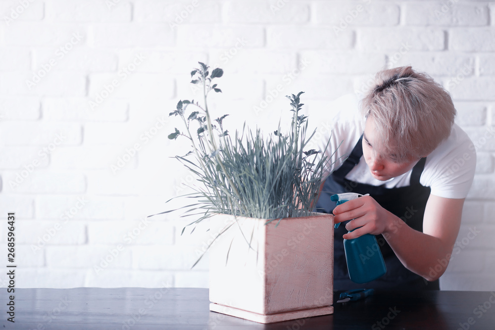 Obraz premium Young Asian boy takes care of plants