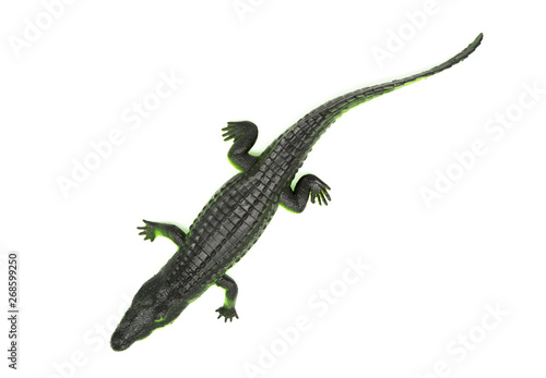 Alligator  green crocodile toy isolated. Top view