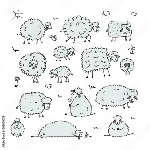 Funny sheeps, sketch for your design