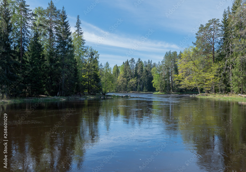 Swedish river and salmon area in spring Swedish river and salmon area in spring