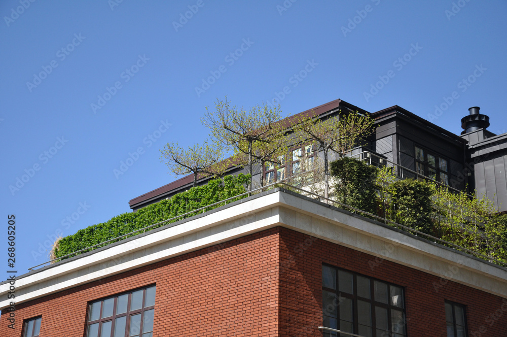 individual green recreation area on the roof of a multistory building. luxury