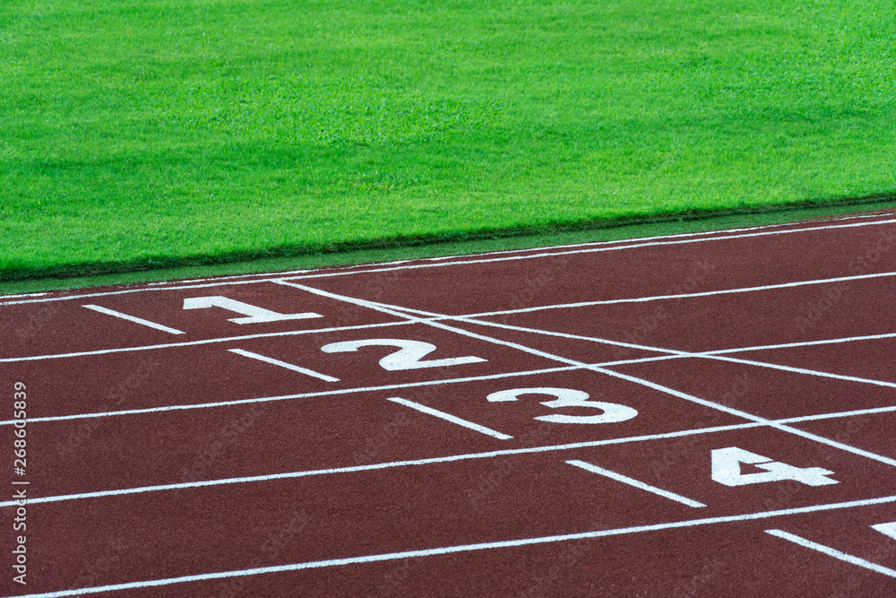 Fototapeta premium running sport tract for athlete with numbers at start white line and green grass sport stadium background