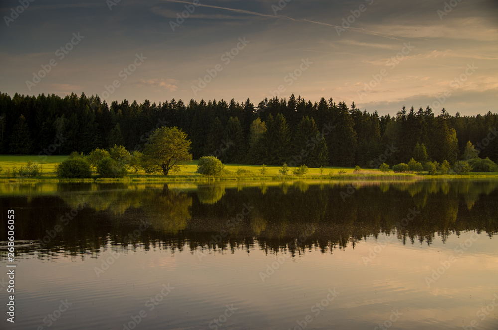 Fototapeta premium Sunset over pond, forest reflecting on the water