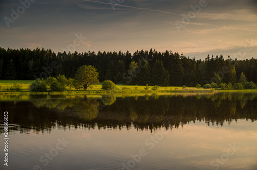 Sunset over pond, forest reflecting on the water