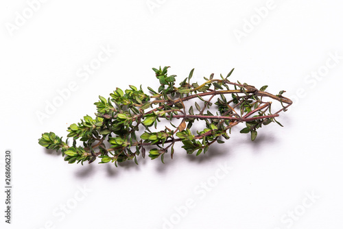 Brunch of thymus, aromatic, isolated