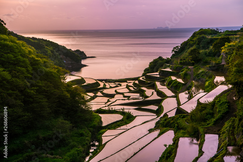 Hanamanoura Tanada, sunset on the rice field, kyushu, japan