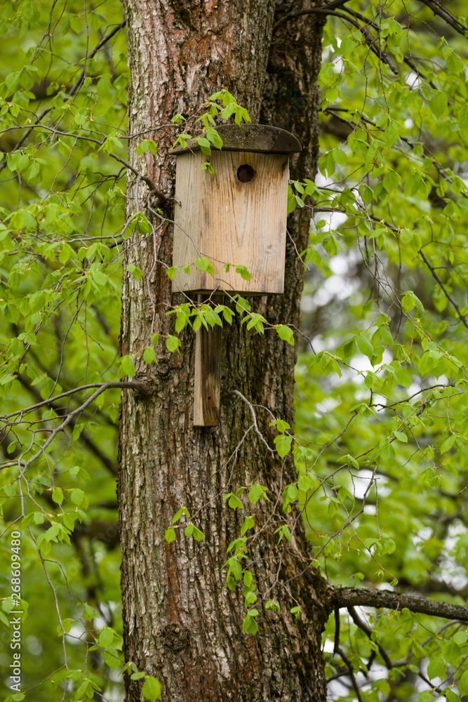 Wooden birdhouse on a tree Wooden birdhouse on a tree