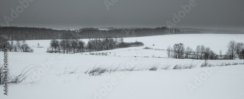 Black and white winter landscape © Radim Glajc