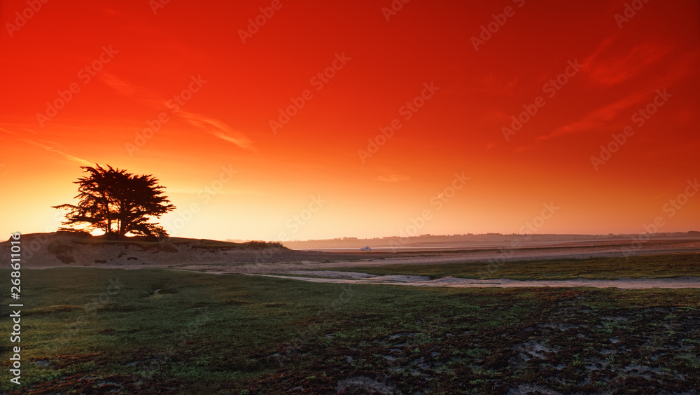 Pointe d'Argon nature reserve in Normandy coast