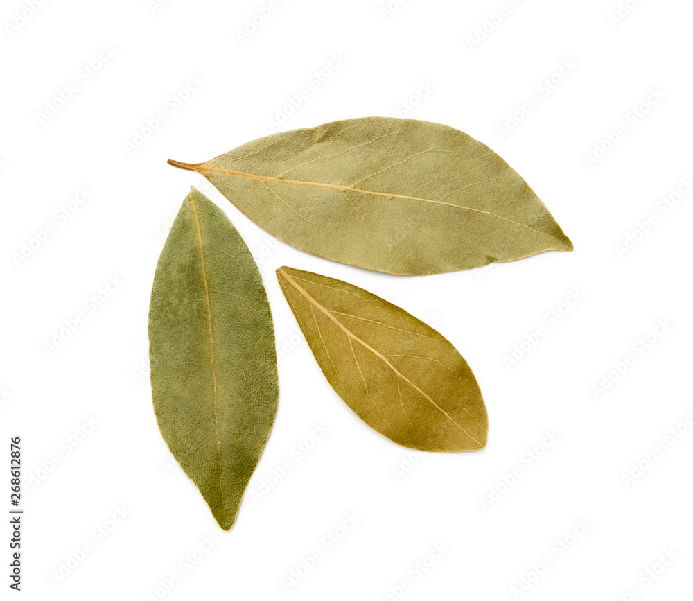 Dried bay leaf isolated on white background Dried bay leaf isolated on white background