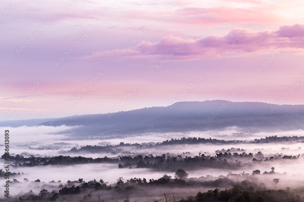 landscape nature morning with mist cover hill and trees and mountain sky background 