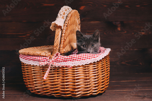 Little cat playing in basket on wooden background