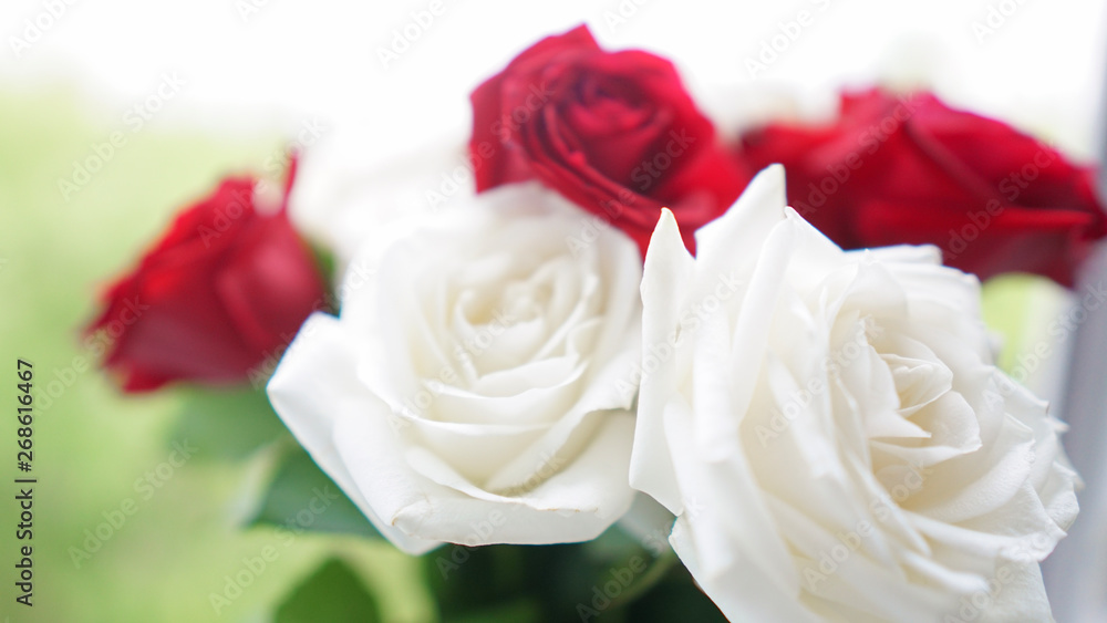 bouquet of beautiful festive flowers of red and white roses bouquet of beautiful festive flowers of red and white roses