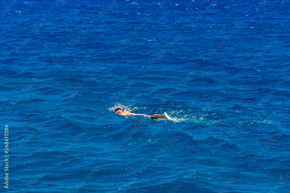 Fototapeta premium Tourist snorkeling in a Red sea. Summer vacation concept