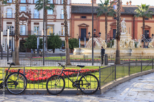 Wallpaper Mural Street of Seville city with palm alley and fountain in evening, Seville. Andalussia, Spain Torontodigital.ca