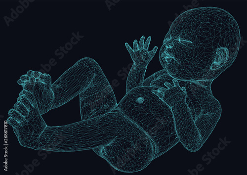 wireframe illustration of a newborn baby