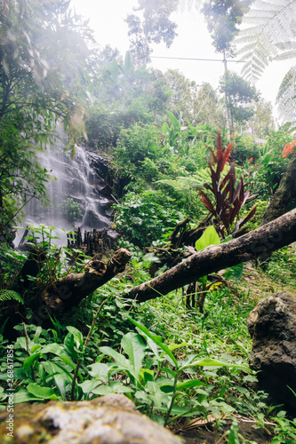 Gitgit waterfall at Bali, I...