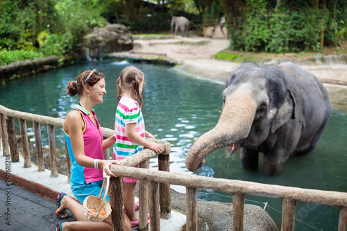 Canvas Print Kids feed elephant in zoo. Family at animal park.
