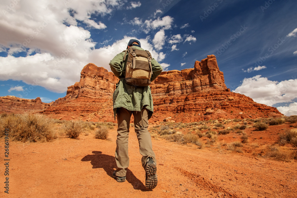 Hiker in Valley of Gods, USA Hiker in Valley of Gods, USA