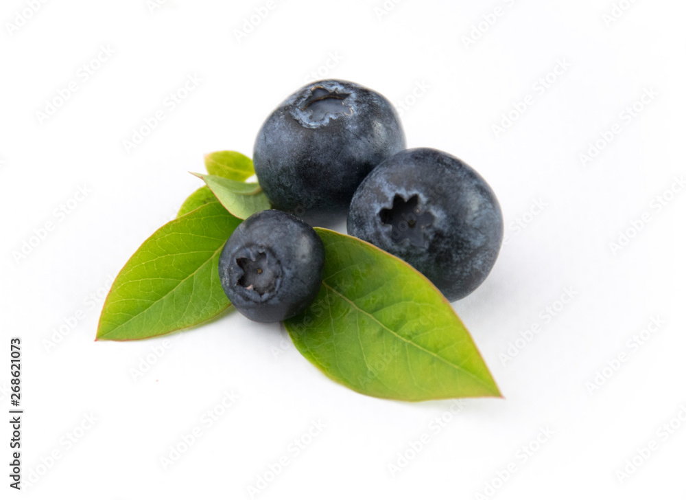 Owoce borówki z liśćmi blueberry Owoce borówki z liśćmi blueberry