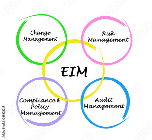 Four components of EIM Audit photo