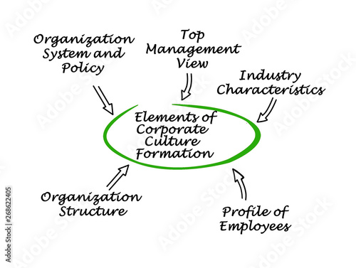 Elements of Corporate Culture Formation.