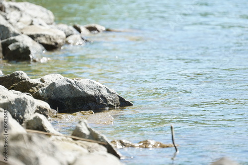 rocks in blue flowing water at a riverbank at a sunny day