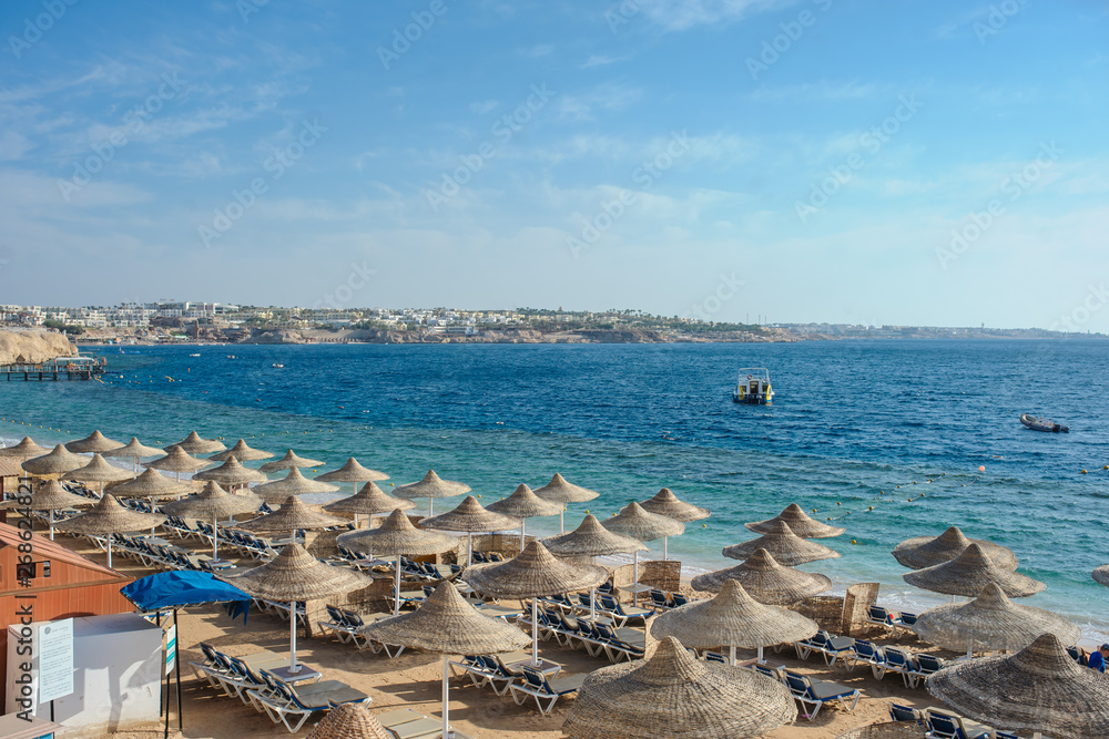 Obraz premium Thatched beach umbrellas and loungers on a beach at an idyllic tropical resort for a summer vacation