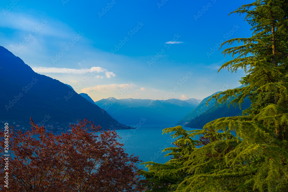 Picturesque view of a mountain lake on a sunny day with a fir tree and a red tree Picturesque view of a mountain lake on a sunny day with a fir tree and a red tree