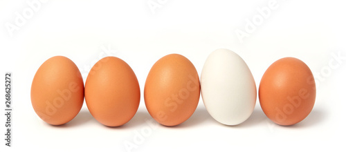 White egg between brown eggs