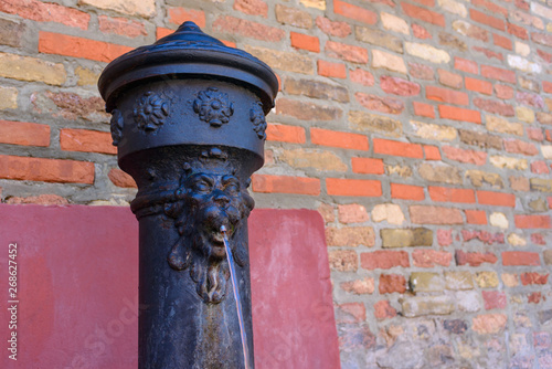 Drinking Water Fountain Venice