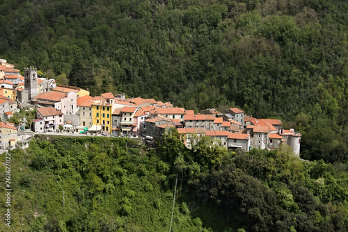 View of the town of Colonnata, famous for the production of lard. The walls of the houses in stone and white Carrara marble. Woods background. Northern Tuscany. Colonnata, Carrara, Italy.
