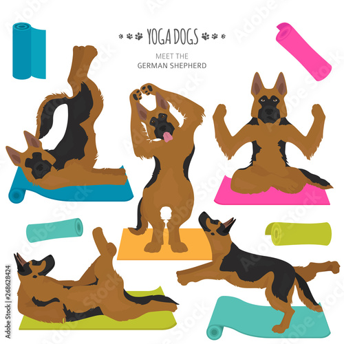 Yoga dogs poses and exercises. German shepherd clipart