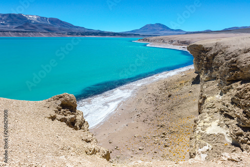 Laguna Verde  Green Lagoon  salt lake  Paso de San Francisco  Atacama Region  Chile
