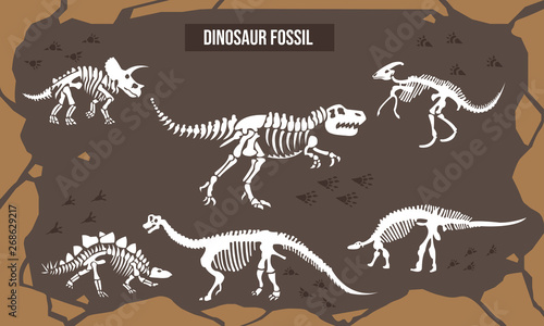 Vector Illustration of Dinosaur footprint