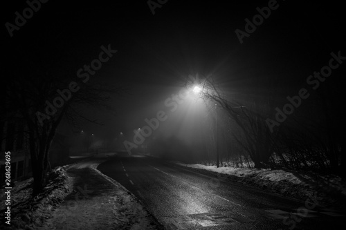 Road of fog photo