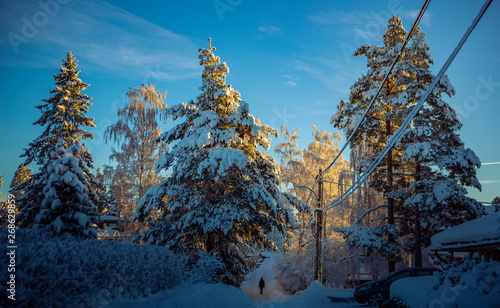 Photography Winter In Oppegård