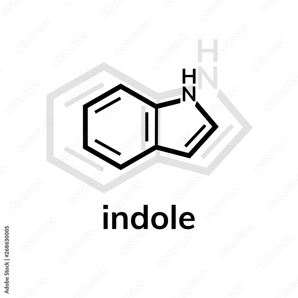 Indole vector icon with shadow on white background Indole vector icon with shadow on white background