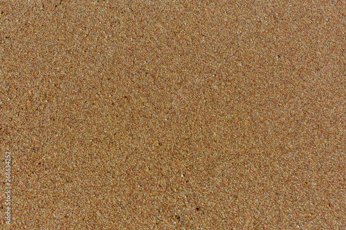 Texture of the wet sand for background