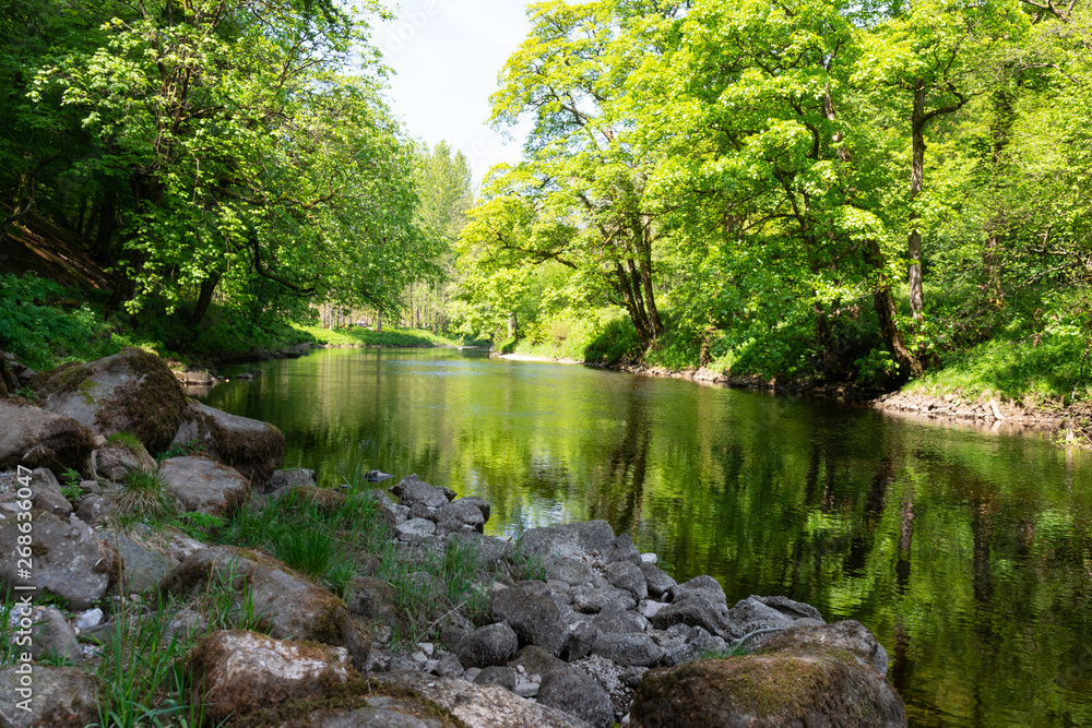 River Wharfe in woodland. River Wharfe in woodland.