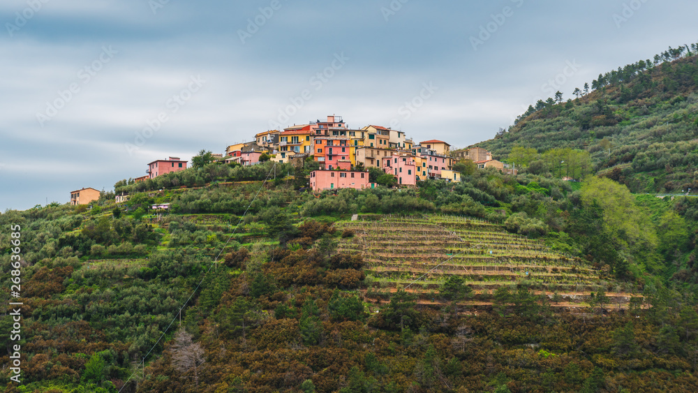 The lovely and old Volastra village built on the hill top surrounded by green terraced vineyards, in Cinque Terre National Park, Italy.