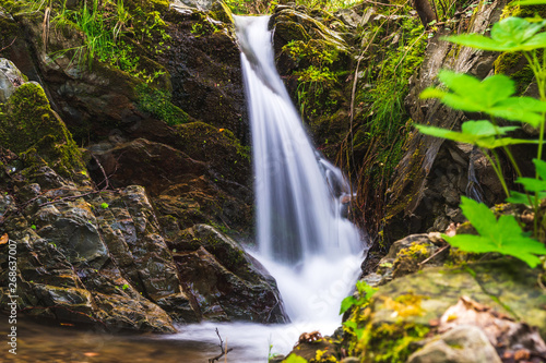 Long exposure of a scenic small waterfall flowing in the forest of the Cinque Terre National Park, Italy.