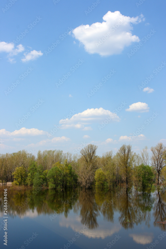 Blue sky with heap clouds reflecting in the flooded river overgrown by the lush inundated forest in May Blue sky with heap clouds reflecting in the flooded river overgrown by the lush inundated forest in May