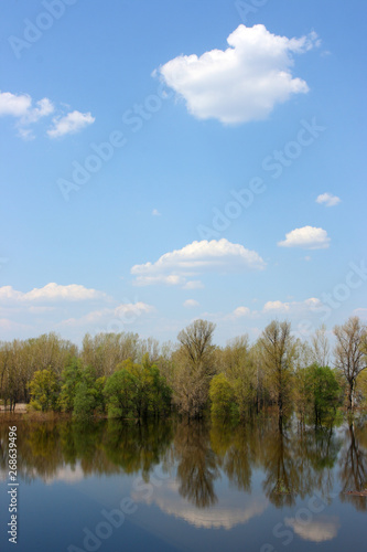 Blue sky with heap clouds reflecting in the flooded river overgrown by the lush inundated forest in May