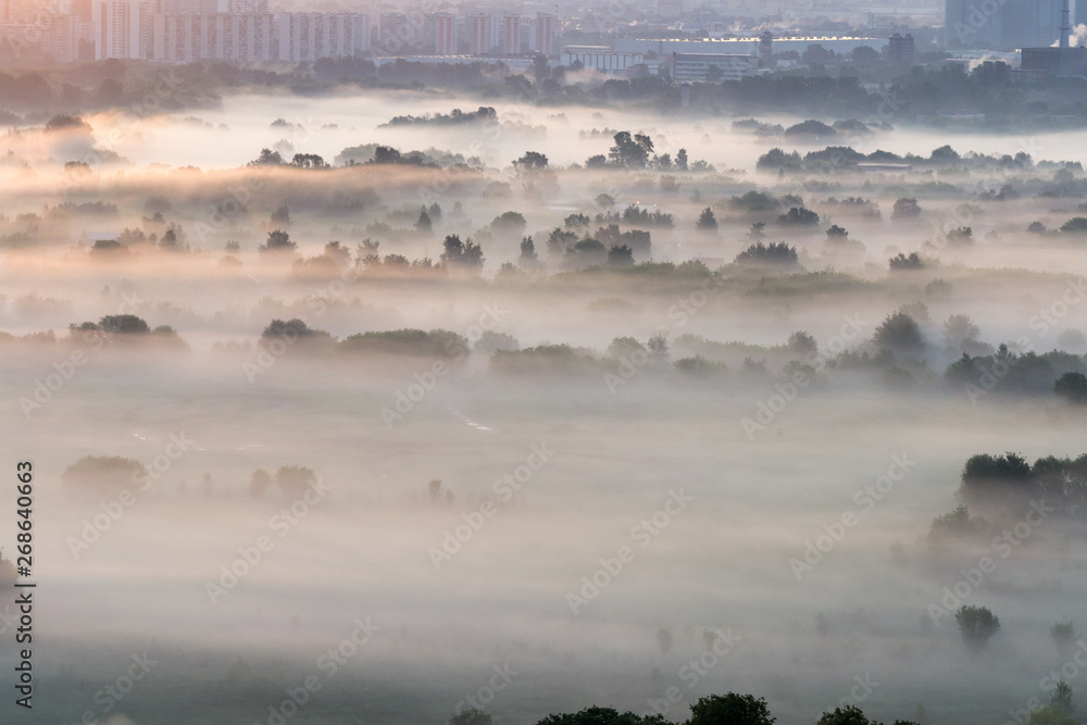 fog over the river