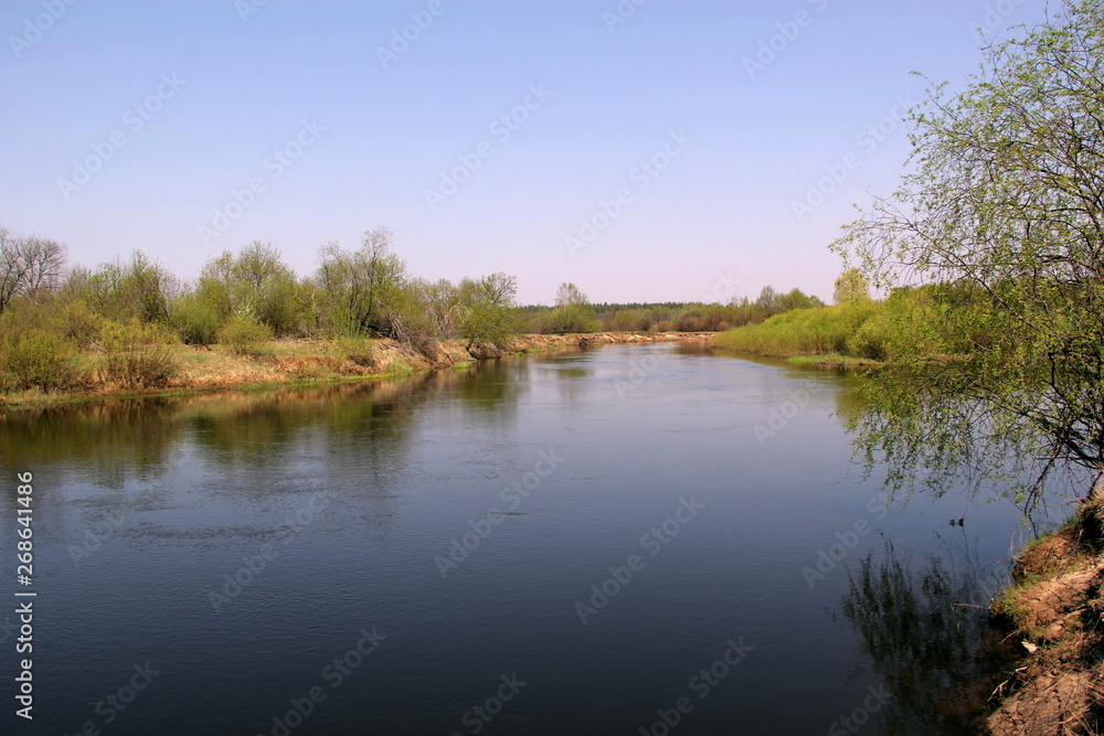 Landscape. A small river in the village during the day